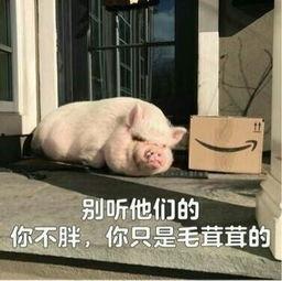 娱乐吃瓜酱猪猪视频下载,揭秘热门娱乐内容获取新方式  第1张